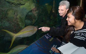 teenager learns about marine ecology at the New York Aquarium.